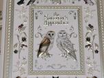 【カルディ 魔法使いの弟子のための魔法辞書】まるで額縁の中にいるようなフクロウ2羽が美しい♪
