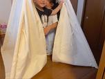 【カインズ インテリアテント】子どもたちも大はしゃぎ！