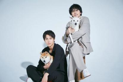 林遣都＆中川大志】撮影で“犬まみれ”「犬好きとしてはたまらない」映画