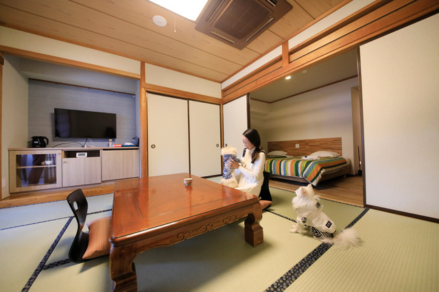 部屋でもわんちゃんと寛げる【ゆるり西伊豆】