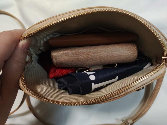 『LEE 1・2月合併号：付録 L.L.BeanのBIGショルダートートバッグ』実際にミニバッグに入れてみた