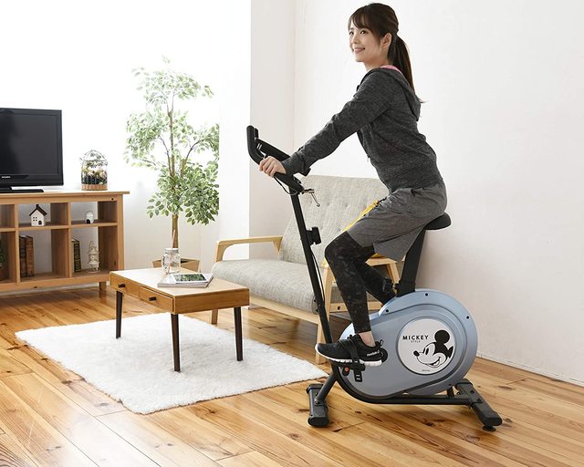 フィットネスバイク 27,280円