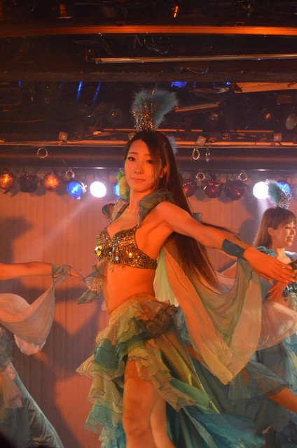 はとバスソロ活体験／黒鳥の湖・ショータイムの模様