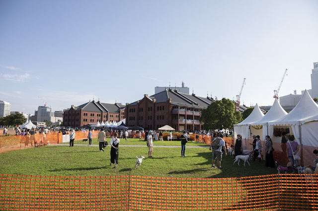 ドッグランイメージ