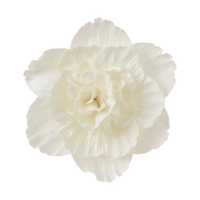 ウォールフラワー ピオニー