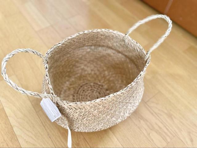 【IKEA（イケア）　FLÅDIS フローディス】