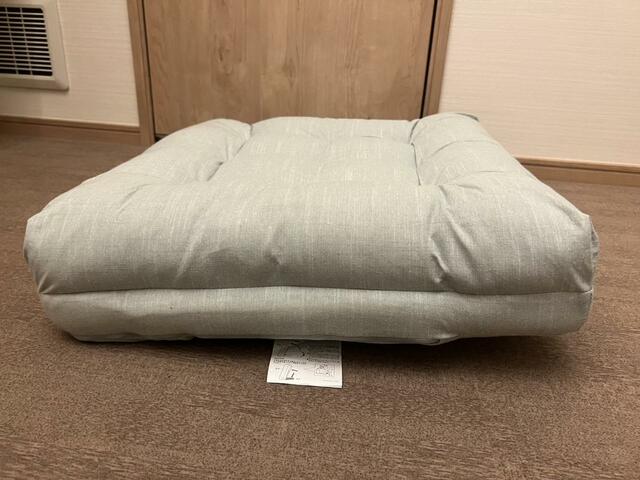 【カインズ　座布団にもなる背もたれイス】リクライニング2段階