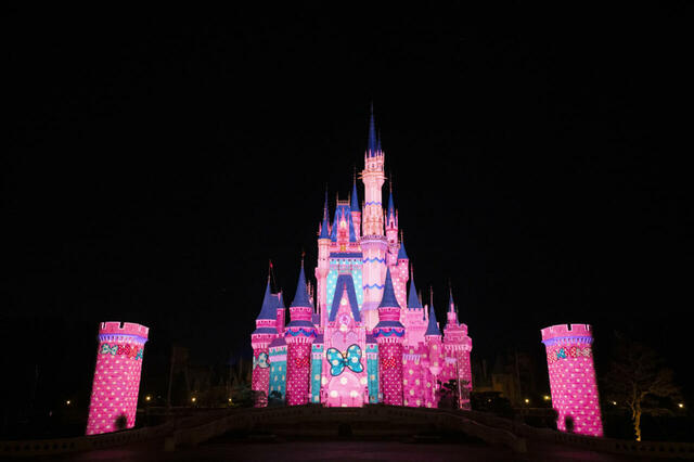 東京ディズニーランド「ディズニー・パルパルーザ“ミニーのファンダーランド”」ファンダーナイト（キャッスル環境演出）