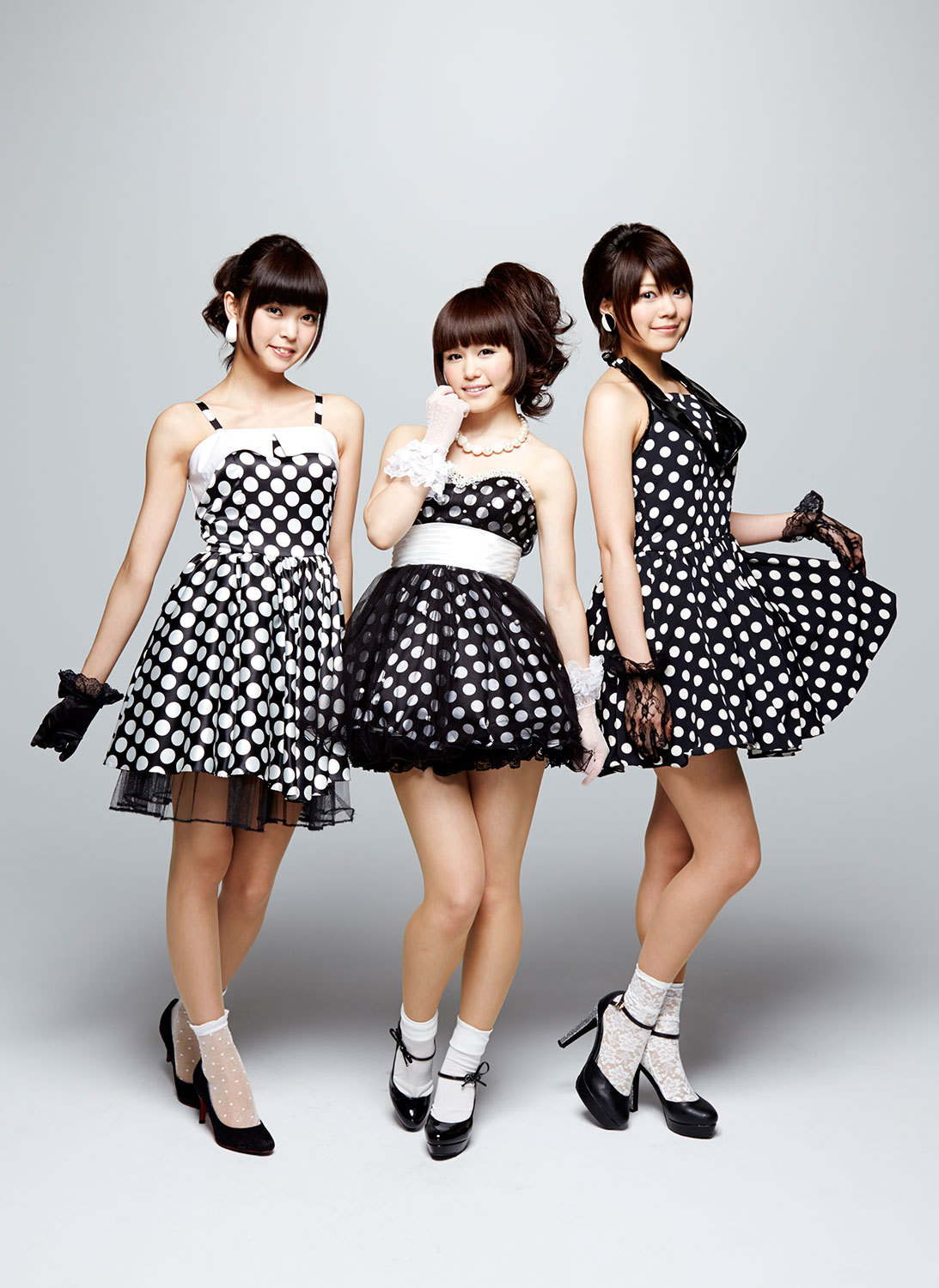 見たことのないNegicco