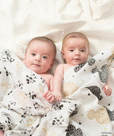 swaddles(スワドル) 3-pack　5400円＋税