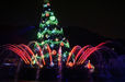カラー・オブ・クリスマス　鮮やかなツリー