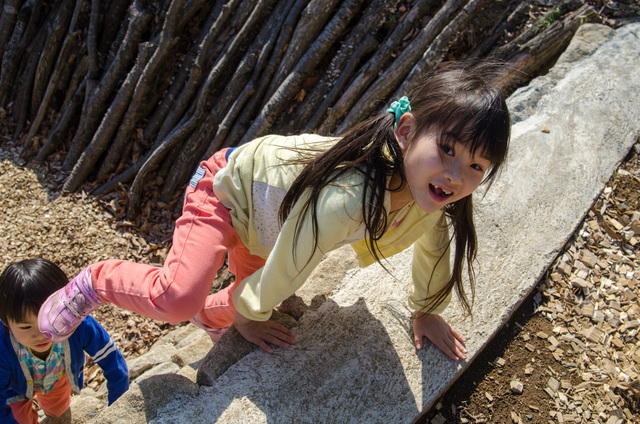 「ハローウッズ 遊びの森」