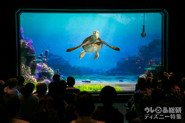 タートル・トーク|東京ディズニーシー