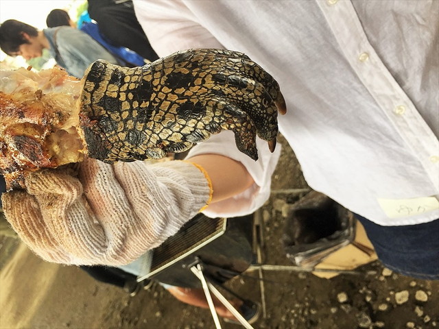 ワイルドバーベキュー／ワニ肉