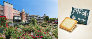 お土産プレゼントイメージ