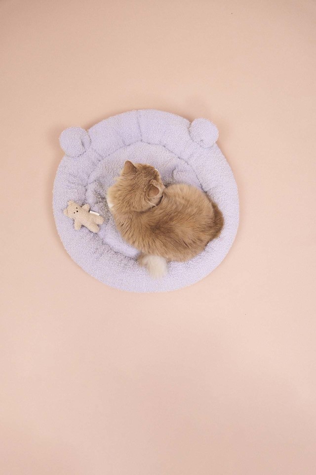 【GELATO PIQUE CAT＆DOG（ジェラート ピケ キャット＆ドッグ）】ジェラートベアモチーフベッド：8,470円（税込）