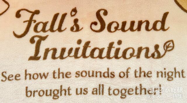 「ダッフィー&フレンズのフォールズ・サウンド・インビテーション」毛布