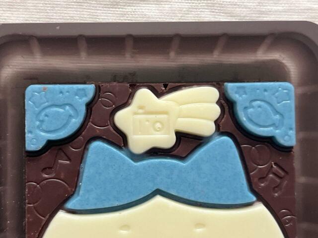 ハチワレの宝物のカメラやお魚の模様が描かれています♪