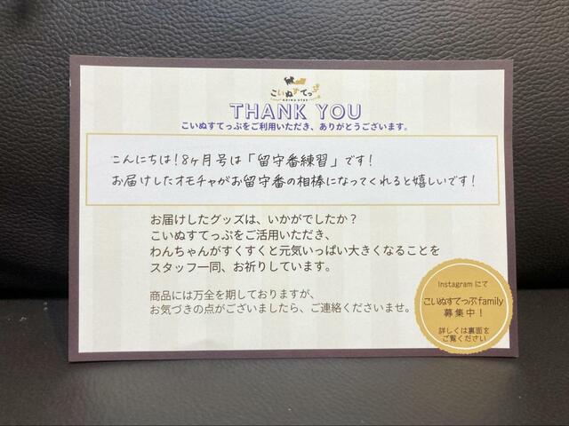 【こいぬすてっぷ】我が家の愛犬は8ヶ月なので8ヶ月号