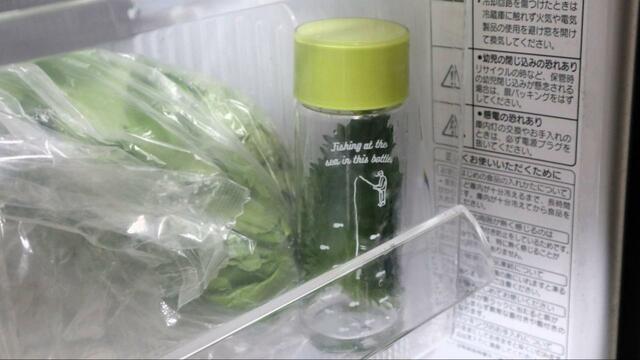【セリア ドリンクボトル500 】大葉やミニアスパラなど野菜を立てて冷蔵保存するのにも