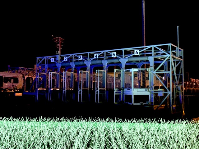 競馬場の出走ゲート