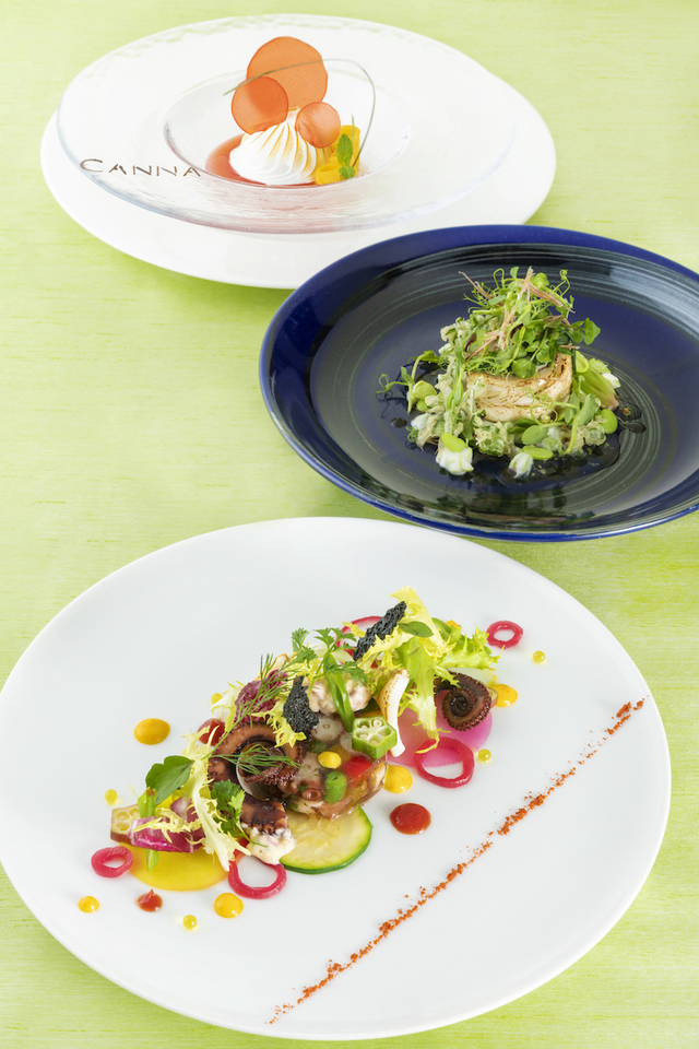 東京ディズニーランドホテル「カンナ」アーリーサマープレシャスカンナ