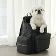 「CITYDOG バックパックキャリー/L」25,000円（税込）