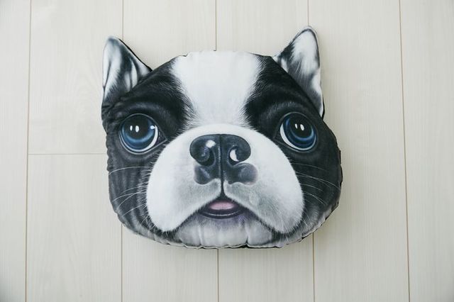 Koira＆Kissa(フレンチブルドッグ)