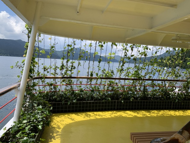 天然の蔦を這わせた船尾