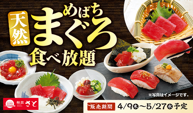 「天然めばちまぐろ食べ放題コース」＜期間：2026年4月9日～5月27日予定＞【和食さとで「天然めばちまぐろ食べ放題」がスタート！濃厚な旨味と脂の甘みが魅力の「天然めばちまぐろ」が120分食べ放題！】