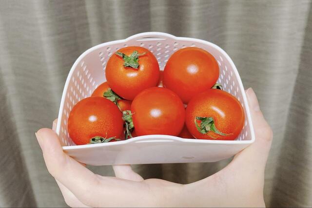 【ニトリ フレッシュキーパークラリー】トマトは水滴が全くついていない