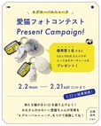 【Cat's ISSUE×グローバルワーク】2026年2月2日（月）〜 2月21日（土）23:59まで「愛猫フォトコンテスト」プレゼントキャンペーン開催