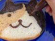 【ねこねこ食パン 三毛猫】チョコペンで顔を描くと愛しさ倍増