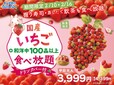 「国産いちご食べ放題コース」＜期間：2025年2月10日～2月16日＞【いちご好き集まれ！国産いちご＋和洋中100品以上が食べ放題！セルフメイクでお好みのいちごスイーツ大満喫♪】