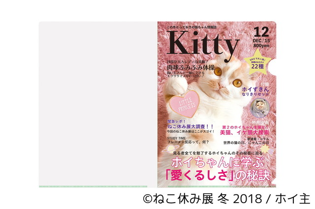 ホイップ(ホイ主)