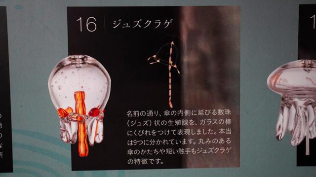 20種類、130個の“クラゲ風鈴”が織りなす涼やかな音色「くらげと風鈴」7月3日(土)開始