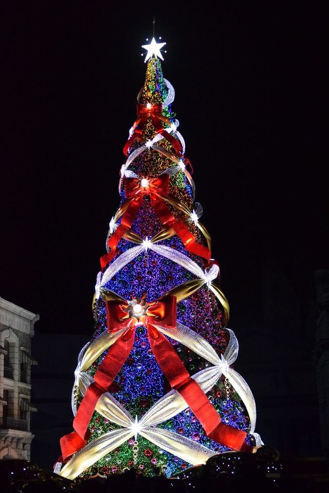 天使のくれた奇跡3 ~The Voice of an Angel~|ユニバーサル・ワンダー・クリスマス|ユニバーサル・スタジオ・ジャパン