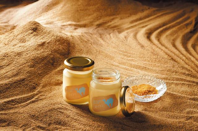 【砂丘エリア】Totto PURIN