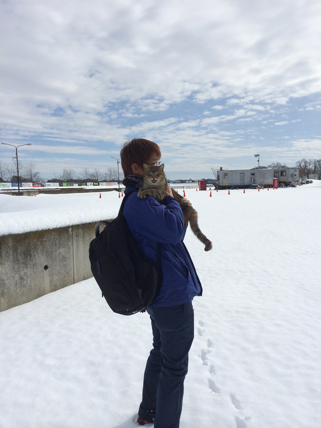 桶川猫のごごちゃん