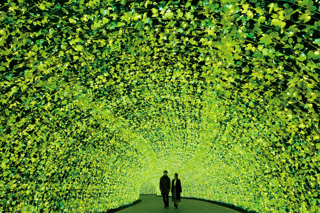 なばなの里イルミネーション