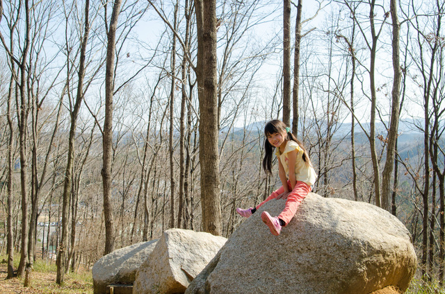 「ハローウッズ 遊びの森」