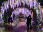 フォトスポット「藤棚エコイルミネーション」（※画像はイメージで