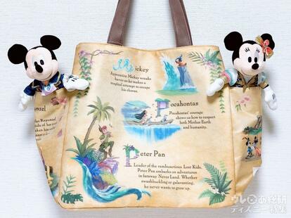 ディズニー新エリア】サイズが変わって超便利！「オープン記念トート