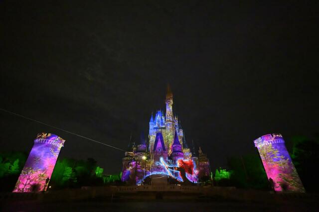 東京ディズニーランド「Reach for the Stars」