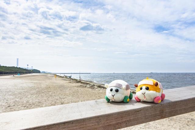 SUNSET BEACH PARK INAGE（稲毛海浜公園）