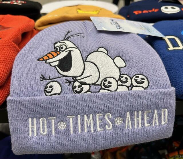 ワークマン Disneyニットキャップ