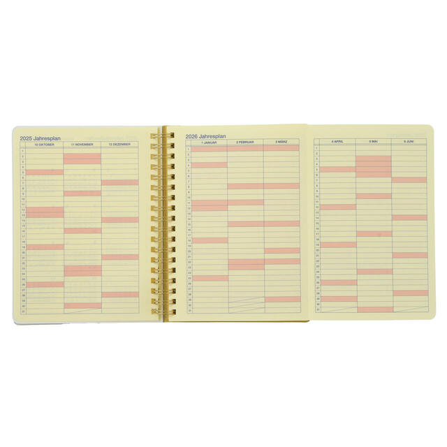 【デルフォニックス】プーさん、ピグレット、イーヨー Rollbahn Diary L 手帳・スケジュール帳 CALENDAR＆ORGANIZER 2026 2,400円