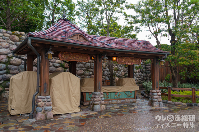 東京ディズニーシー「ファンタジースプリングス」現地のようす