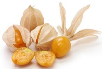 ハーゲンダッツ ミニカップ ゴールデンベリーのレアチーズケーキ（期間限定）