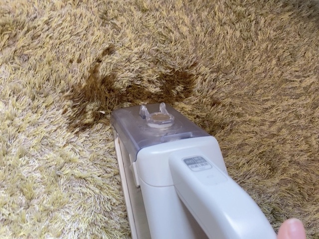 【アイリスオーヤマ ハンディリンサークリーナー】使用前。カーペットにコーヒーをこぼしてみました